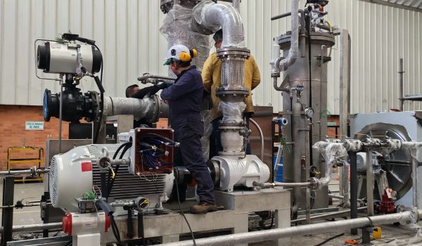 WhatsApp Image 2025-12-19 at 9.17.21 AM